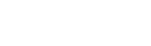CamRoadElite™